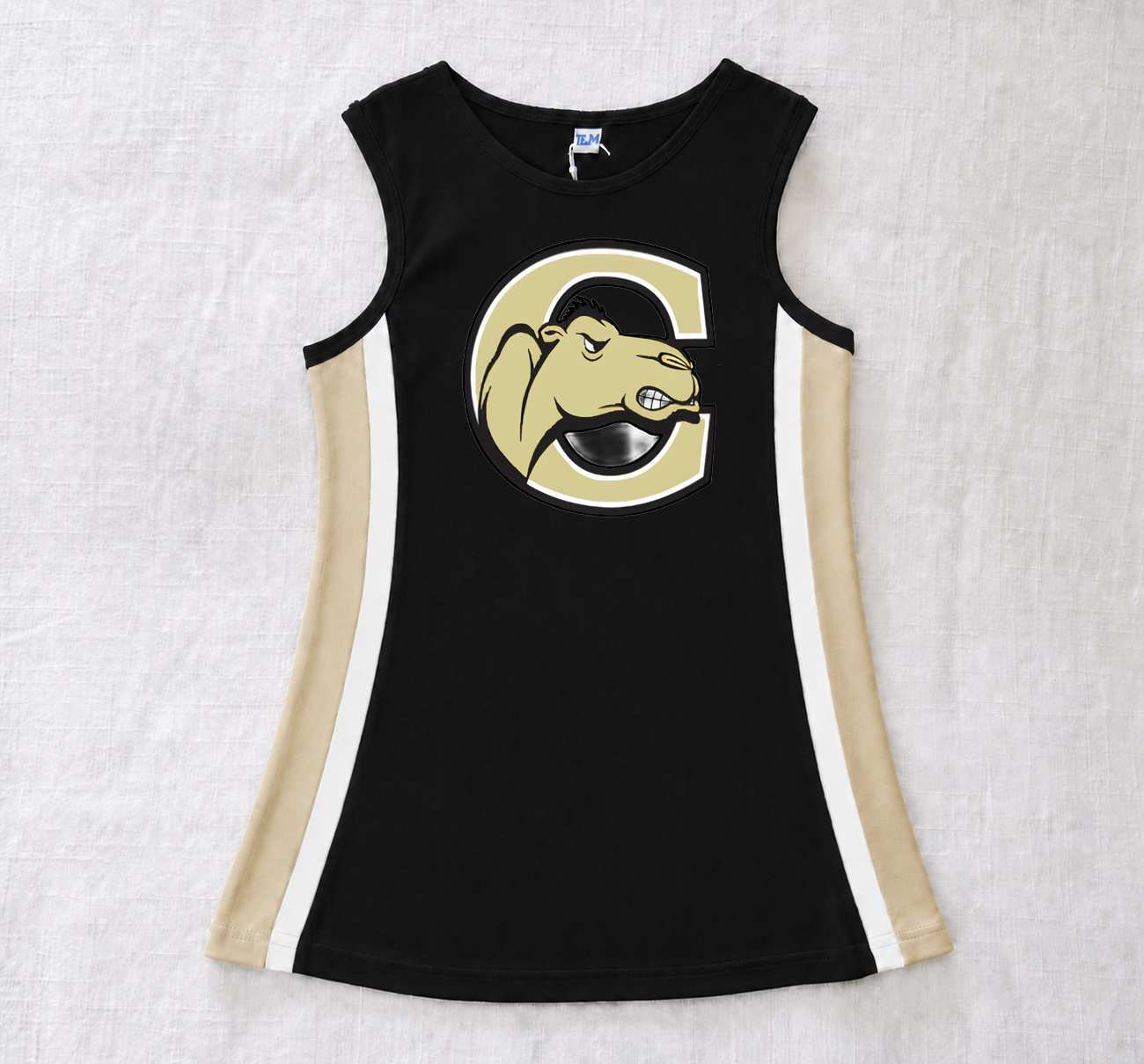 Campbell Cheer Dress