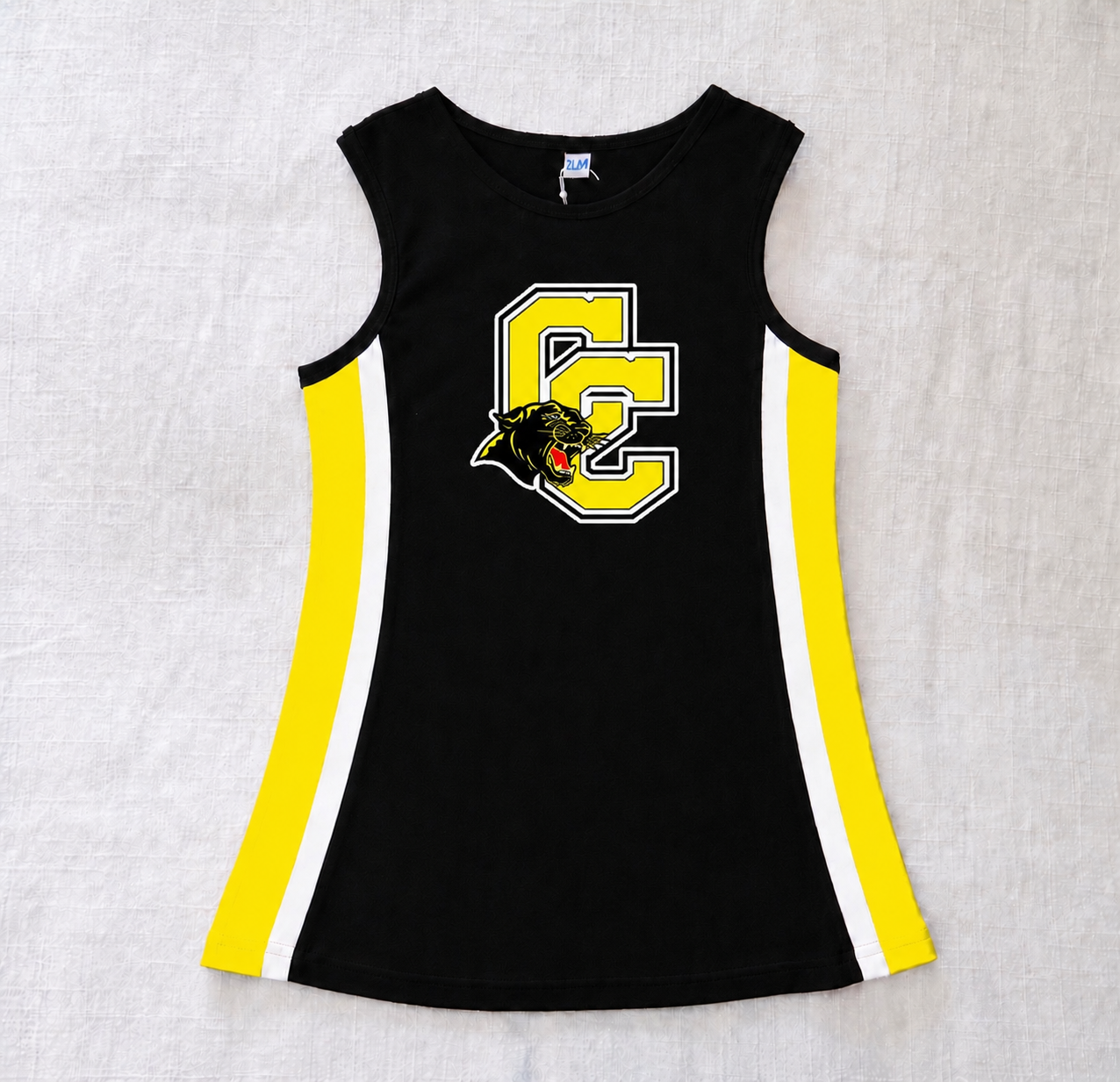 Panthers Cheer Dress