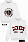 Dexter Baseball Kids