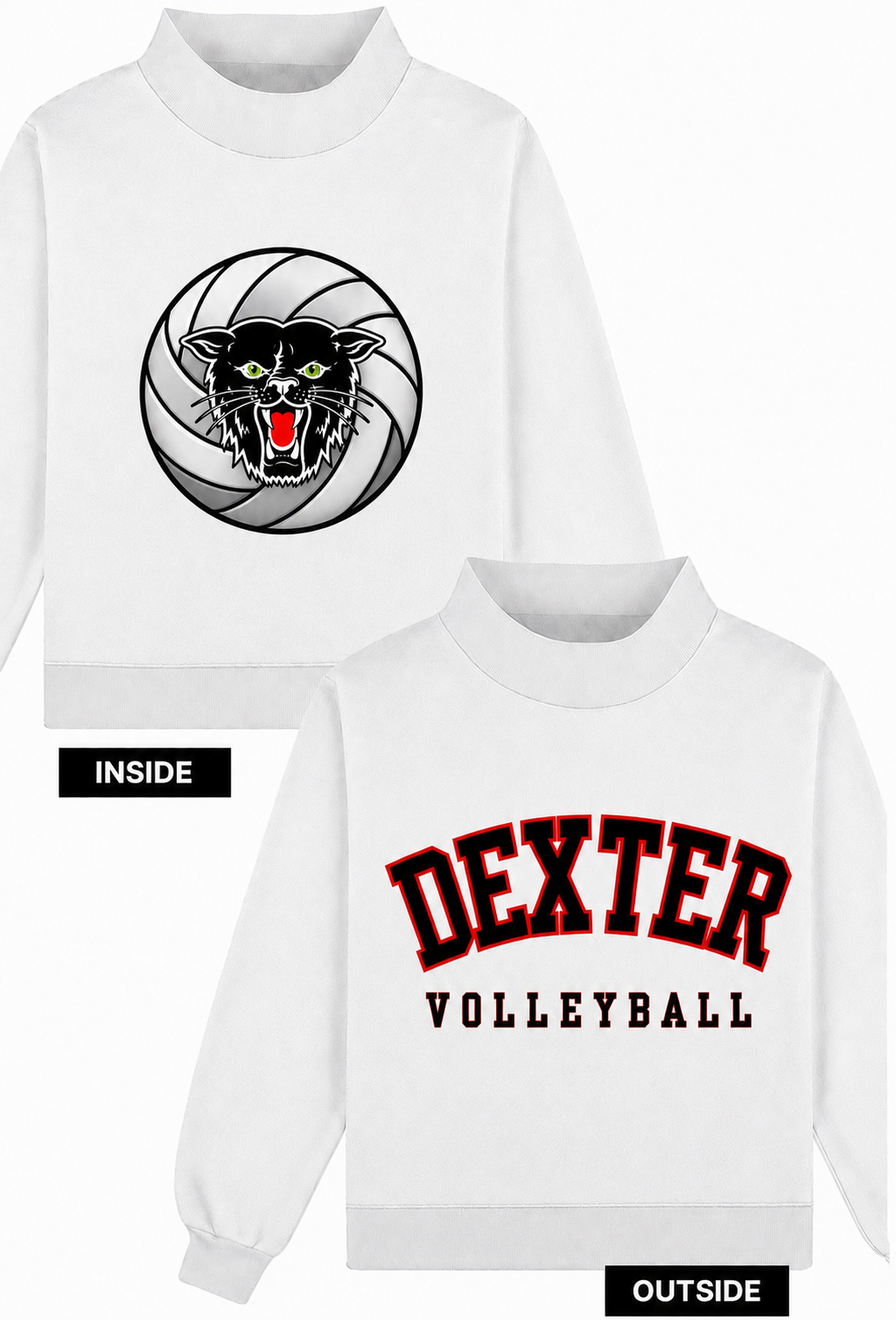 Dexter Volleyball Women’s